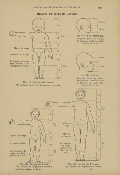 Mesures des proportions idéales du corps d